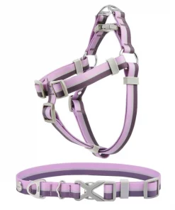 Frisco Outdoor Two Tone Waterproof Stinkproof PVC Harness, Shadow Purple, Small, Neck: 14 to 19-in, Girth: 16 to 23-in + Dog Collar, Boysenberry Purple, Small - Neck: 10½-14-in, Width: 5/8-in
