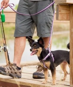 Frisco Outdoor Two Tone Waterproof Stinkproof PVC Harness, Shadow Purple, Small, Neck: 14 to 19-in, Girth: 16 to 23-in + Dog Collar, Boysenberry Purple, Small - Neck: 10½-14-in, Width: 5/8-in -Frisco Sales 2024 319404 PT4. SY630 V1631159502