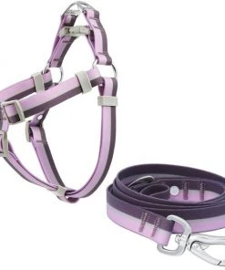 Frisco Outdoor Two Tone Waterproof Stinkproof PVC Harness, Shadow Purple,Extra Large, Neck: 22 to 33-in, Girth: 32 to 44-in + Dog Leash, Boysenberry Purple, Large - Length: 6-ft, Width: 1-in