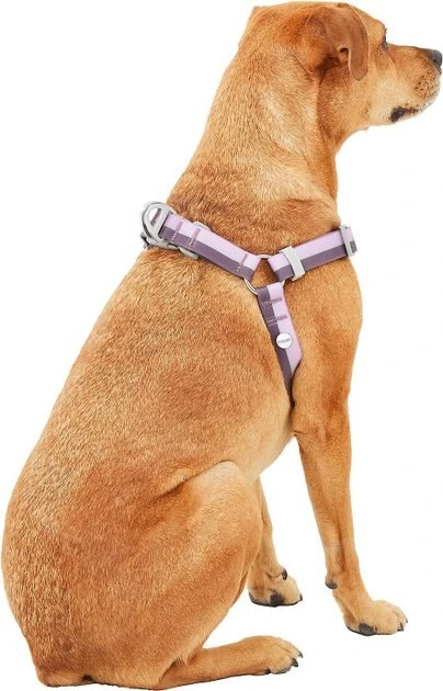 Frisco Outdoor Two Tone Waterproof Stinkproof PVC Harness, Shadow Purple,Extra Large, Neck: 22 to 33-in, Girth: 32 to 44-in + Dog Leash, Boysenberry Purple, Large - Length: 6-ft, Width: 1-in 6 Frisco Outdoor Two Tone Waterproof Stinkproof PVC Harness, Shadow Purple,Extra Large, Neck: 22 to 33-in, Girth: 32 to 44-in + Dog Leash, Boysenberry Purple, Large - Length: 6-ft, Width: 1-in - Image 4