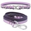 Frisco Outdoor Two Toned Waterproof Stink Proof PVC Collar, Boysenberry Purple, Small - Neck: 10½14-in, Width: 5/8-in + Dog Leash, Boysenberry Purple, Small - Length: 6-ft, Width: 5/8-in -Frisco Sales 2024 319416 MAIN. SY630 V1631144491