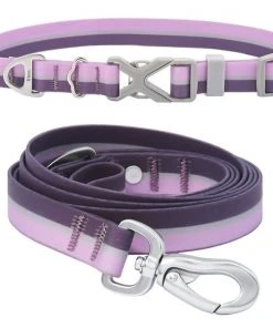 Frisco Outdoor Two Toned Waterproof Stink Proof PVC Collar, Boysenberry Purple, Small - Neck: 10½14-in, Width: 5/8-in + Dog Leash, Boysenberry Purple, Small - Length: 6-ft, Width: 5/8-in