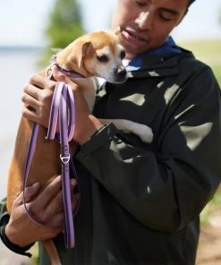 Frisco Outdoor Two Toned Waterproof Stink Proof PVC Collar, Boysenberry Purple, Small - Neck: 10½14-in, Width: 5/8-in + Dog Leash, Boysenberry Purple, Small - Length: 6-ft, Width: 5/8-in 17 Frisco Outdoor Two Toned Waterproof Stink Proof PVC Collar, Boysenberry Purple, Small - Neck: 10½14-in, Width: 5/8-in + Dog Leash, Boysenberry Purple, Small - Length: 6-ft, Width: 5/8-in -Frisco Sales 2024 319416 PT7. SY630 V1631150178