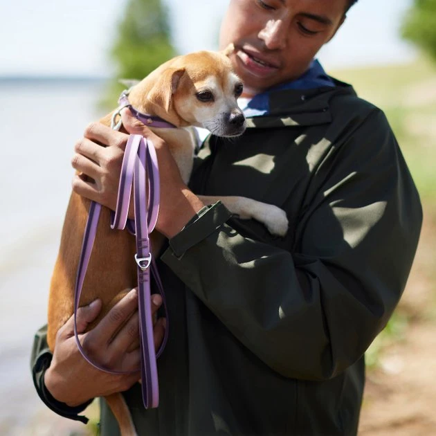 Frisco Outdoor Two Toned Waterproof Stink Proof PVC Collar, Boysenberry Purple, Small - Neck: 10½14-in, Width: 5/8-in + Dog Leash, Boysenberry Purple, Small - Length: 6-ft, Width: 5/8-in 10 Frisco Outdoor Two Toned Waterproof Stink Proof PVC Collar, Boysenberry Purple, Small - Neck: 10½14-in, Width: 5/8-in + Dog Leash, Boysenberry Purple, Small - Length: 6-ft, Width: 5/8-in - Image 8