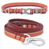 Frisco Outdoor Two Toned Waterproof Stink Proof PVC Collar, Flamepoint Orange, Medium - Neck: 14½20-in, Width: 3/4-in + Dog Leash, Sunset Orange, Medium - Length: 6-ft, Width: 3/4-in -Frisco Sales 2024 319422 MAIN. SY630 V1631143574