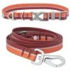 Frisco Outdoor Two Toned Waterproof Stink Proof PVC Collar, Flamepoint Orange, Small - Neck: 10½14-in, Width: 5/8-in + Dog Leash, Sunset Orange, Small - Length: 6-ft, Width: 5/8-in