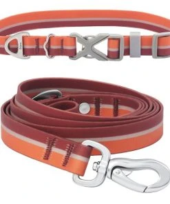 Frisco Outdoor Two Toned Waterproof Stink Proof PVC Collar, Flamepoint Orange, Small - Neck: 10½14-in, Width: 5/8-in + Dog Leash, Sunset Orange, Small - Length: 6-ft, Width: 5/8-in