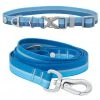Frisco Outdoor Two Toned Waterproof Stink Proof PVC Collar, River Blue, Medium - Neck: 14½20-in, Width: 3/4-in + Dog Leash, River Blue, Medium - Length: 6-ft, Width: 3/4-in -Frisco Sales 2024 319430 MAIN. SY630 V1631160394