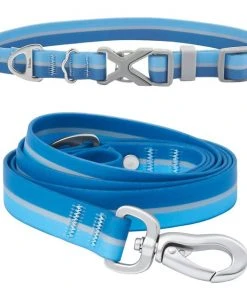 Frisco Outdoor Two Toned Waterproof Stink Proof PVC Collar, River Blue, Medium - Neck: 14½20-in, Width: 3/4-in + Dog Leash, River Blue, Medium - Length: 6-ft, Width: 3/4-in