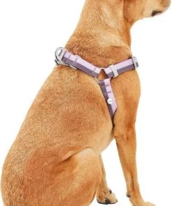 Frisco Outdoor Two Toned Waterproof Stink Proof PVC Leash, Boysenberry Purple, Medium - Length: 6-ft, Width: 3/4-in + Dog Harness, Shadow Purple, Medium, Neck: 16 to 22-in, Girth: 19 to 29-in -Frisco Sales 2024 319436 PT6. SY630 V1631148393