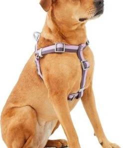 Frisco Outdoor Two Toned Waterproof Stink Proof PVC Leash, Boysenberry Purple, Small - Length: 6-ft, Width: 5/8-in + Dog Harness, Shadow Purple, Small, Neck: 14 to 19-in, Girth: 16 to 23-in -Frisco Sales 2024 319438 PT5. SY630 V1631145695