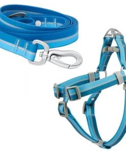 Frisco Outdoor Two Toned Waterproof Stink Proof PVC Leash, River Blue, Large - Length: 6-ft, Width: 1-in + Dog Harness, River Blue, Large, Neck: 19 to 27-in, Girth: 23 to 36-in