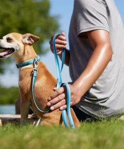 Frisco Outdoor Two Toned Waterproof Stink Proof PVC Leash, River Blue, Large - Length: 6-ft, Width: 1-in + Dog Harness, River Blue, Large, Neck: 19 to 27-in, Girth: 23 to 36-in -Frisco Sales 2024 319440 PT3. SY630 V1631155296