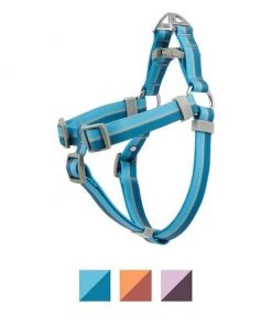 Frisco Outdoor Two Toned Waterproof Stink Proof PVC Leash, River Blue, Large - Length: 6-ft, Width: 1-in + Dog Harness, River Blue, Large, Neck: 19 to 27-in, Girth: 23 to 36-in -Frisco Sales 2024 319440 PT4. SY630 V1631138788