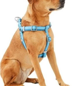 Frisco Outdoor Two Toned Waterproof Stink Proof PVC Leash, River Blue, Large - Length: 6-ft, Width: 1-in + Dog Harness, River Blue, Large, Neck: 19 to 27-in, Girth: 23 to 36-in -Frisco Sales 2024 319440 PT5. SY630 V1631142068
