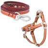 Frisco Outdoor Two Toned Waterproof Stink Proof PVC Leash, Sunset Orange, Large - Length: 6-ft, Width: 1-in + Dog Harness, Flamepoint Orange, Large, Neck: 19 to 27-in, Girth: 23 to 36-in