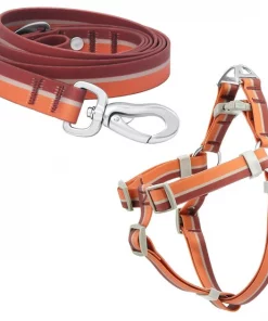 Frisco Outdoor Two Toned Waterproof Stink Proof PVC Leash, Sunset Orange, Large - Length: 6-ft, Width: 1-in + Dog Harness, Flamepoint Orange, Large, Neck: 19 to 27-in, Girth: 23 to 36-in