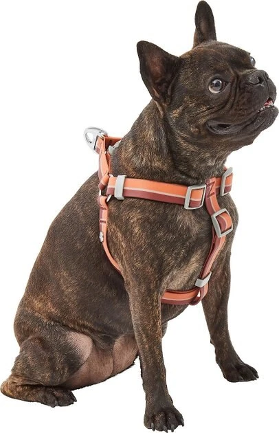 Frisco Outdoor Two Toned Waterproof Stink Proof PVC Leash, Sunset Orange, Large - Length: 6-ft, Width: 1-in + Dog Harness, Flamepoint Orange, Large, Neck: 19 to 27-in, Girth: 23 to 36-in 8 Frisco Outdoor Two Toned Waterproof Stink Proof PVC Leash, Sunset Orange, Large - Length: 6-ft, Width: 1-in + Dog Harness, Flamepoint Orange, Large, Neck: 19 to 27-in, Girth: 23 to 36-in - Image 6