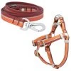 Frisco Outdoor Two Toned Waterproof Stink Proof PVC Leash, Sunset Orange, Medium - Length: 6-ft, Width: 3/4-in + Dog Harness, Flamepoint Orange, Medium, Neck: 16 to 22-in, Girth: 19 to 29-in -Frisco Sales 2024 319448 MAIN. SY630 V1631151398