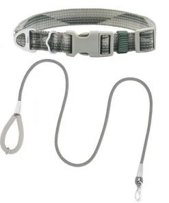 Frisco Outdoor Woven Jacquard Nylon Dog Collar, Forest Green, Medium - Neck: 14-20-in, Width: 3/4-in + Ultra Reflective Rope Leash With Padded Handle, Stone Gray, 6 - ft