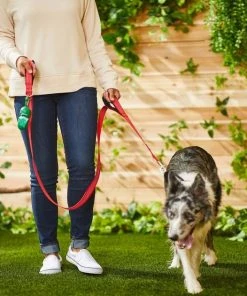 Frisco Traffic Leash with Padded Handles & Poop Bag Dispenser, Red, Length: 4-ft, Width: 1-in + Refill Dog Poop Bags, Scented, 120 count -Frisco Sales 2024 319522 PT4. SY630 V1630627286