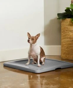 Frisco Training Pad Holder, 24-in x 24-in + Dog Training & Potty Pads, 22 x 23-in, 100 count, Unscented -Frisco Sales 2024 319526 PT4. SY630 V1630624305