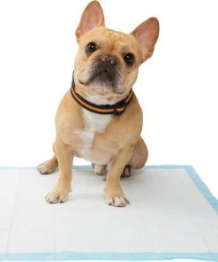 Frisco Training Pad Holder, 24-in x 24-in + Dog Training & Potty Pads, 22 x 23-in, 100 count, Unscented -Frisco Sales 2024 319526 PT8. SY630 V1630628180