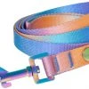 Frisco Purple Ombre Style Dog Leash -Frisco Sales 2024 324514 MAIN. SY630 V1642518850