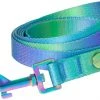 Frisco Green Ombre Style Dog Leash