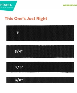 Frisco Green Ombre Style Dog Leash -Frisco Sales 2024 324518 PT3. SY630 V1642518717