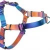 Frisco Purple Ombre Style Dog Harness -Frisco Sales 2024 324526 MAIN. SY630 V1642518986