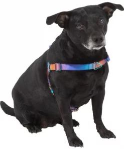 Frisco Purple Ombre Style Dog Harness -Frisco Sales 2024 324526 PT2. SY630 V1642519692