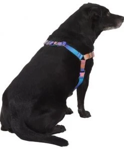Frisco Purple Ombre Style Dog Harness -Frisco Sales 2024 324526 PT3. SY630 V1642519104