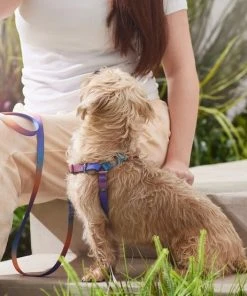 Frisco Purple Ombre Style Dog Harness -Frisco Sales 2024 324526 PT4. SY630 V1642518470