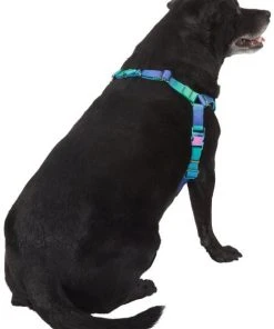 Frisco Green Ombre Style Dog Harness -Frisco Sales 2024 324531 PT3. SY630 V1642518631