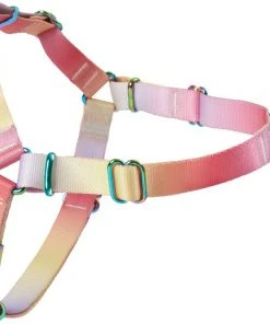 Frisco Pink Ombre Style Dog Harness