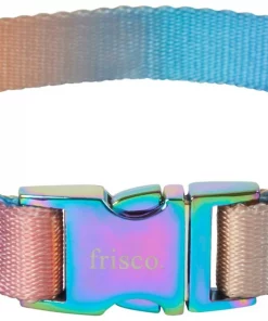 Frisco Purple Ombre Style Dog Collar