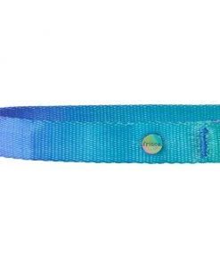 Frisco Green Ombre Style Dog Collar -Frisco Sales 2024 324546 PT2. SY630 V1642518404