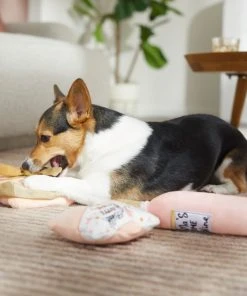 Frisco Mother's Day Gifts Plush Squeaky Dog Toy, 3 count 7 Frisco Mother's Day Gifts Plush Squeaky Dog Toy, 3 count -Frisco Sales 2024 327035 PT3. SY630 V1646947993