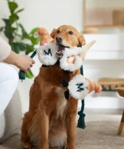 Frisco Mother's Day Gnomes Plush with Rope Squeaky Dog Toy -Frisco Sales 2024 327037 PT3. SY630 V1646948102