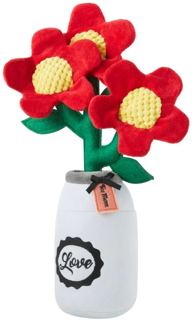 Frisco Mother's Day Mason Jar Flower Blooms Plush Squeaky Dog Toy 3 Frisco Mother's Day Mason Jar Flower Blooms Plush Squeaky Dog Toy