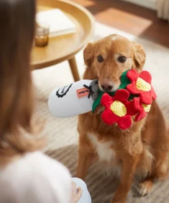 Frisco Mother's Day Mason Jar Flower Blooms Plush Squeaky Dog Toy 7 Frisco Mother's Day Mason Jar Flower Blooms Plush Squeaky Dog Toy -Frisco Sales 2024 327039 PT3. SY630 V1646947919
