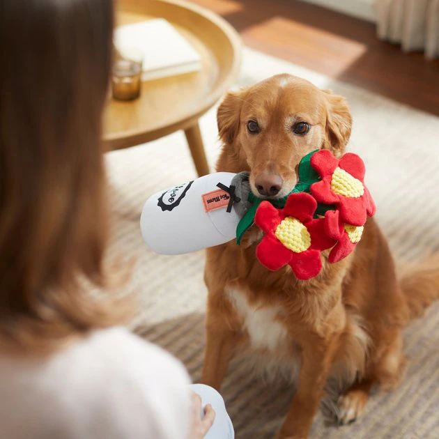 Frisco Mother's Day Mason Jar Flower Blooms Plush Squeaky Dog Toy 5 Frisco Mother's Day Mason Jar Flower Blooms Plush Squeaky Dog Toy - Image 3