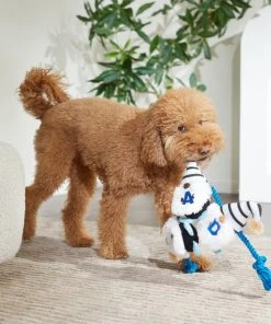 Frisco Dad Gnome Plush with Rope Dog Toy -Frisco Sales 2024 327053 PT3. SY630 V1648667286