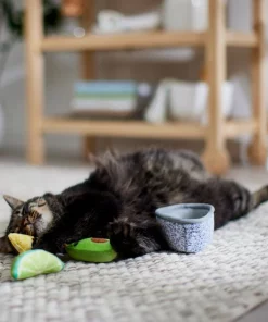 Frisco Guacamole Bowl Cat Toy with Catnip, Medium, 4 count -Frisco Sales 2024 327059 PT3. SY630 V1645205519