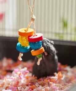 Frisco Small Pet Dangly Wooden Chew Toy 7 Frisco Small Pet Dangly Wooden Chew Toy -Frisco Sales 2024 330871 PT3. SY630 V1647530133