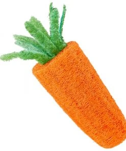 Frisco Small Pet Carrot Loofah Chew Toy