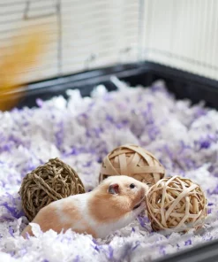 Frisco Trio Balls Small Pet Chew Toys 7 Frisco Trio Balls Small Pet Chew Toys -Frisco Sales 2024 330885 PT2. SY630 V1647530230