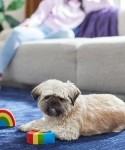 Frisco Pride Rainbow & Heart Latex Squeaky Dog Toy, 2 count -Frisco Sales 2024 331632 PT3. SY630 V1647355825