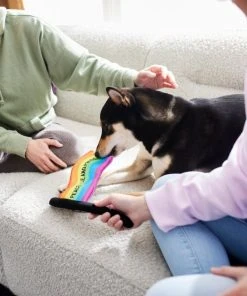 Frisco Pride Flag Flat Squeaky Dog Toy -Frisco Sales 2024 331640 PT3. SY630 V1647355852